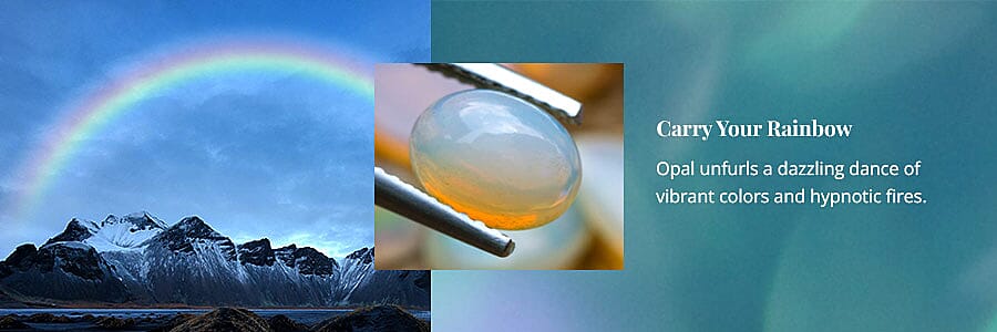 Carry Your Rainbow Banner