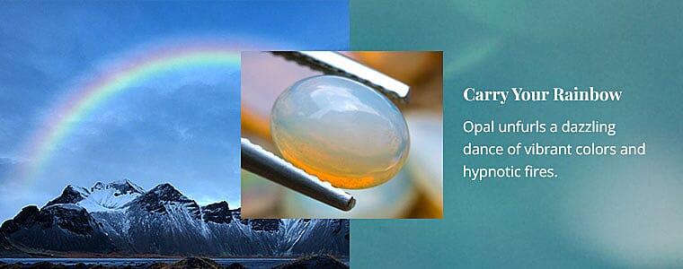 Carry Your Rainbow Banner