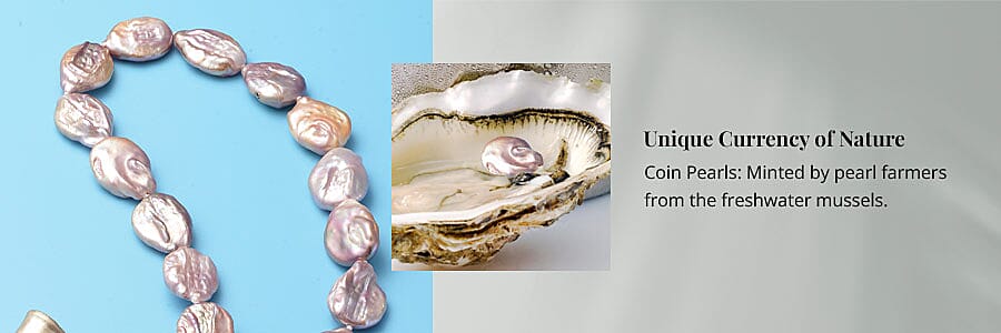 Unique Currency of Nature Banner