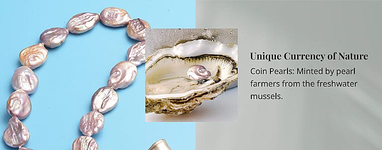 Unique Currency of Nature Banner