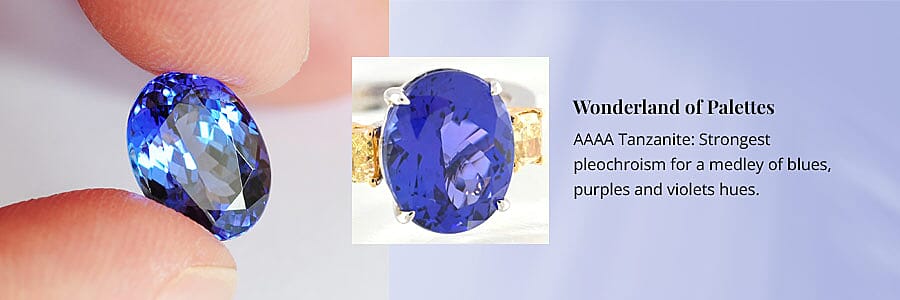 Wonderland of Palettes Banner