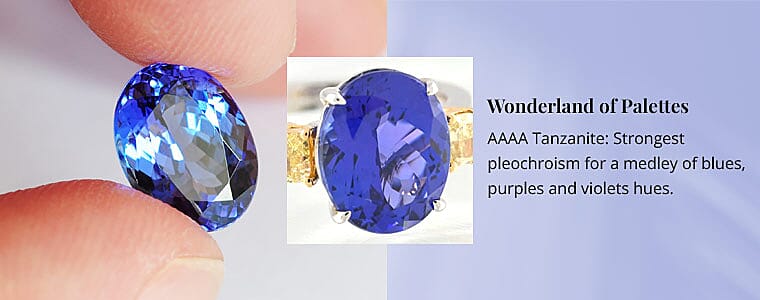 Wonderland of Palettes Banner