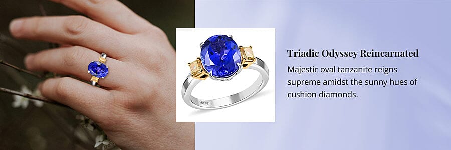 Triadic Odyssey Reincarnated Banner