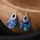 Abalone Shell Earrings in Sterling Silver image number 1