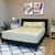MASTER SUITE Mustard 500TC 100% Cotton Sheet Set -Queen